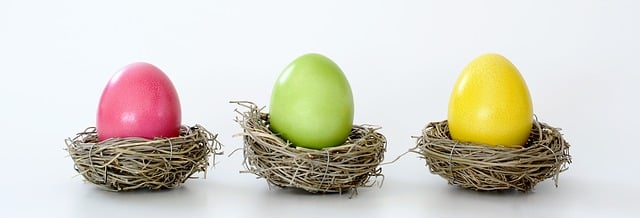 easter-nest-gdb389c3d4_640.jpg