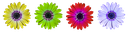 flower-ga098f7f9c_640.png