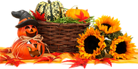 pumpkins-964385_640.png