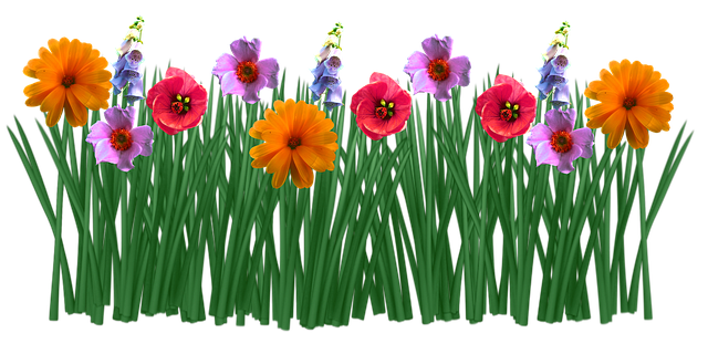 spring-1388930_640.png