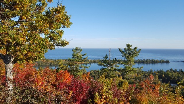 autumn-2702093_640.jpg