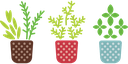 herb-817486_640.png