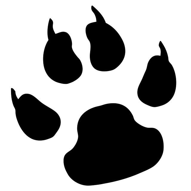 paw-print-163554_640.jpg